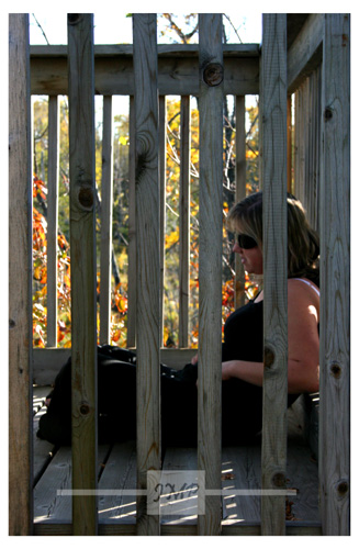 IMG_2590 shopped WM blog.jpg