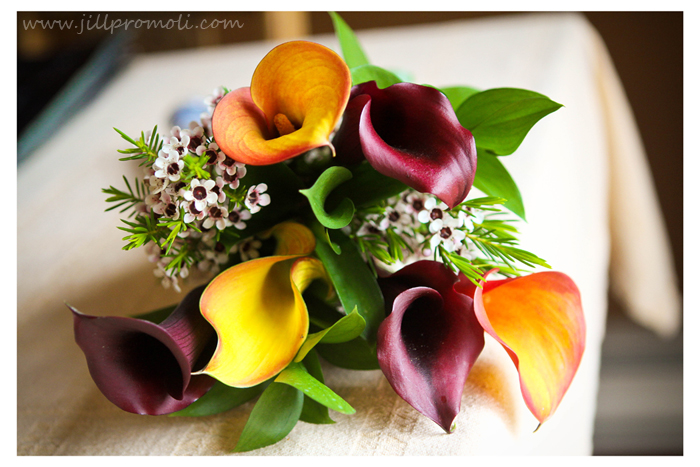 Owen Sound Wedding Photographer