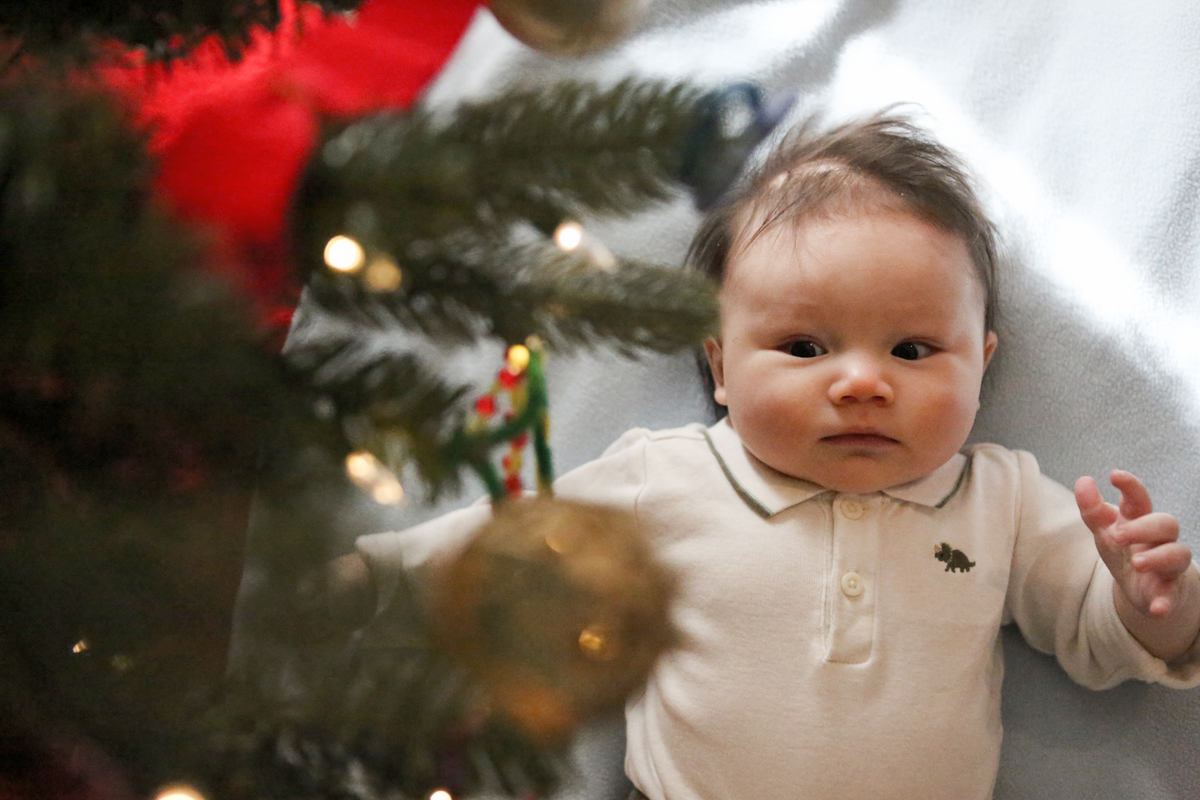 Toronto family photographer-25