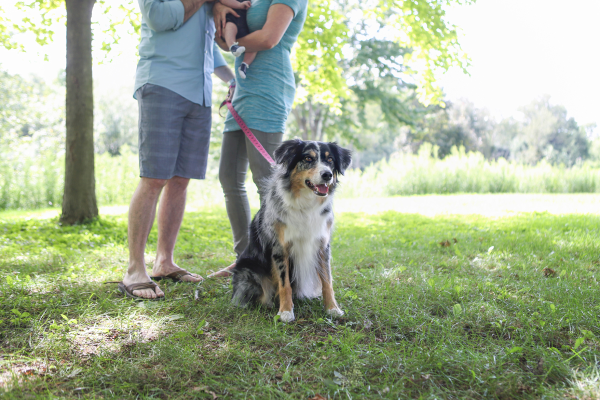Waterloo Family Photographer-11